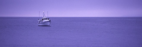 Twilight Blues - Mark Dodge