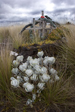 Roadside Rememberance - Hawaii - Mark Dodge